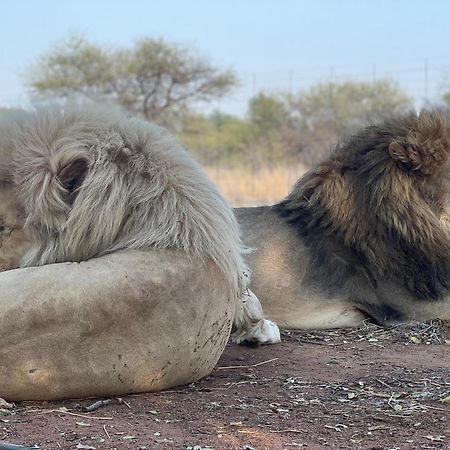 Simba Safaris African Pride Exotic Lodge Lephalale Экстерьер фото