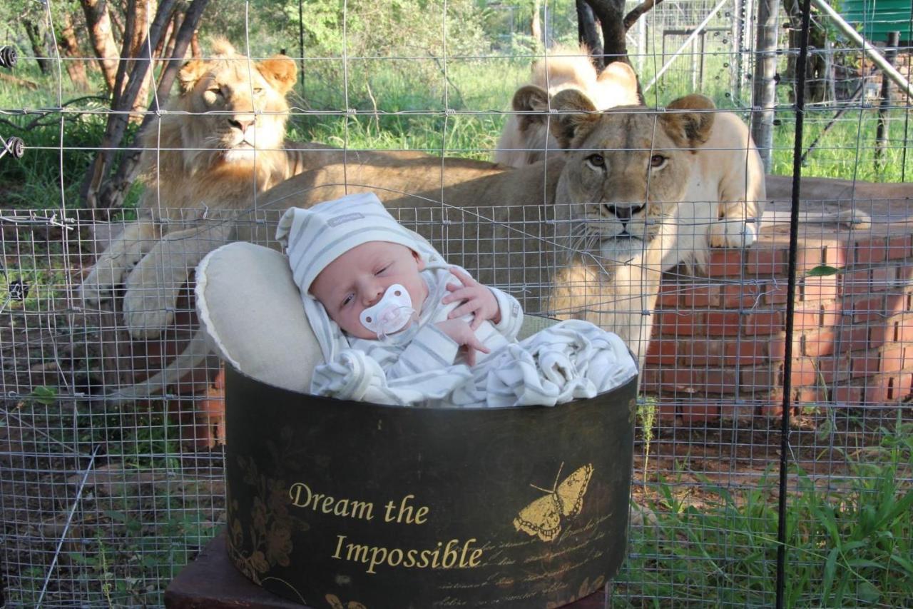 Simba Safaris African Pride Exotic Lodge Lephalale Экстерьер фото