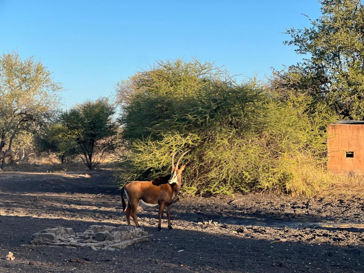 Simba Safaris African Pride Exotic Lodge Lephalale Экстерьер фото