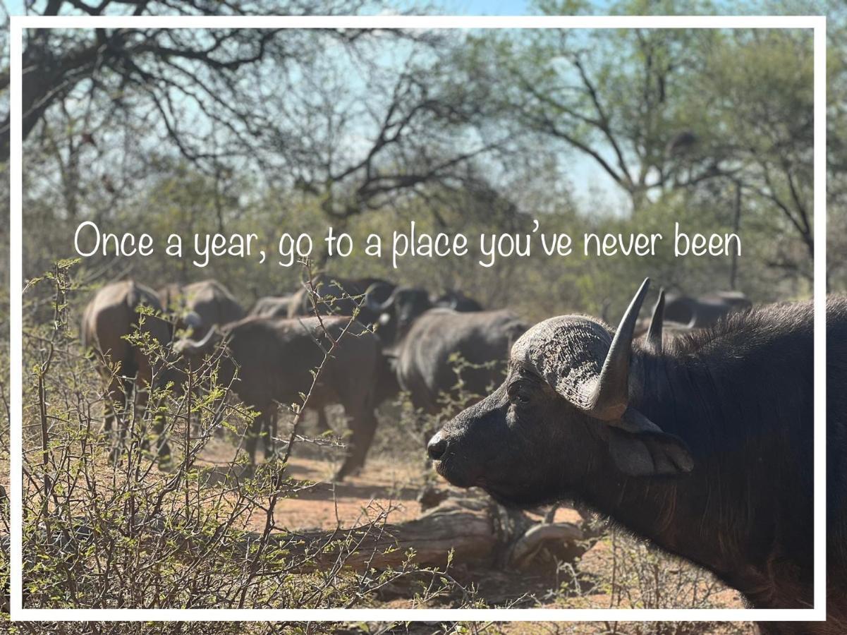 Simba Safaris African Pride Exotic Lodge Lephalale Экстерьер фото