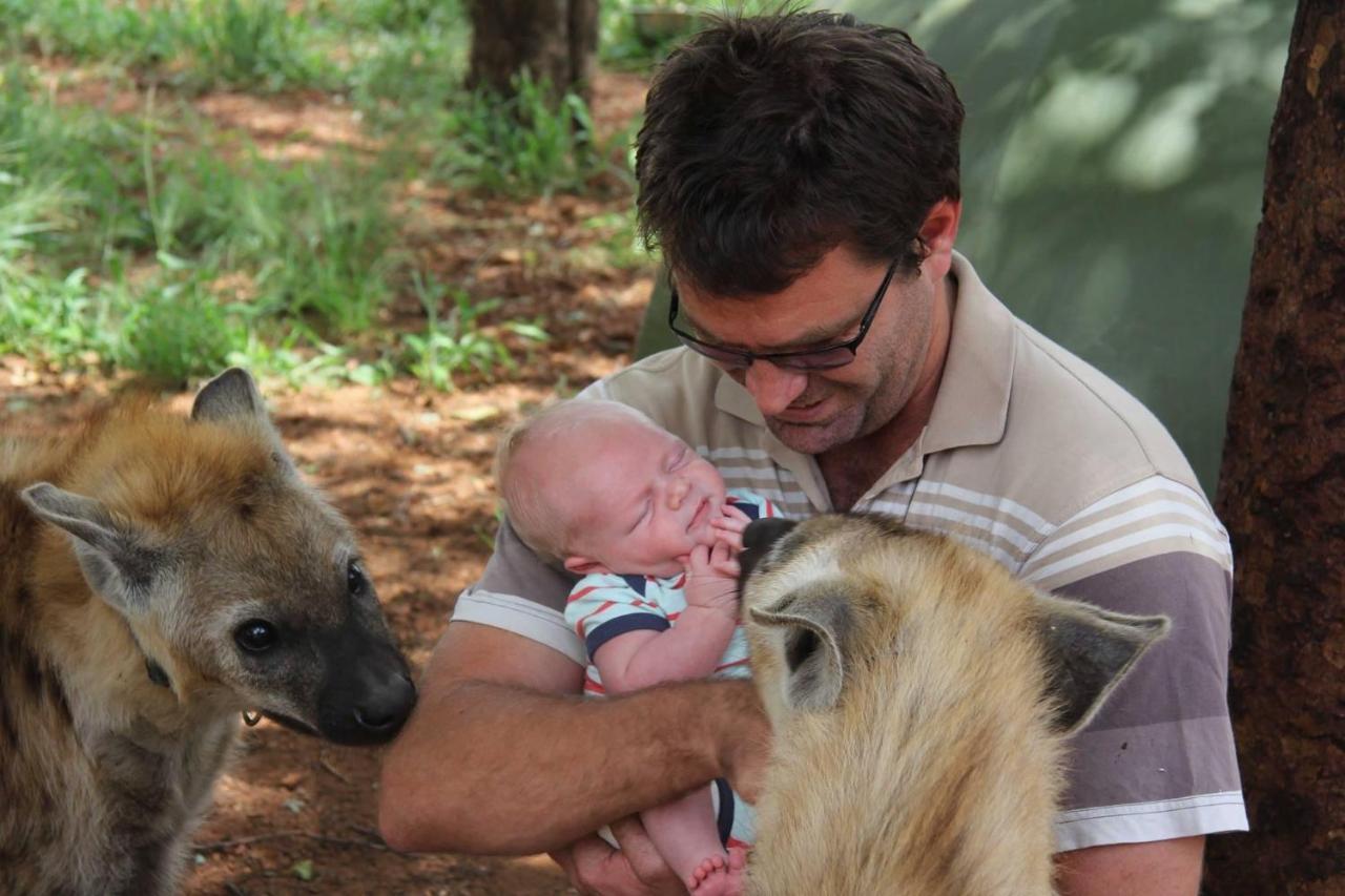 Simba Safaris African Pride Exotic Lodge Lephalale Экстерьер фото