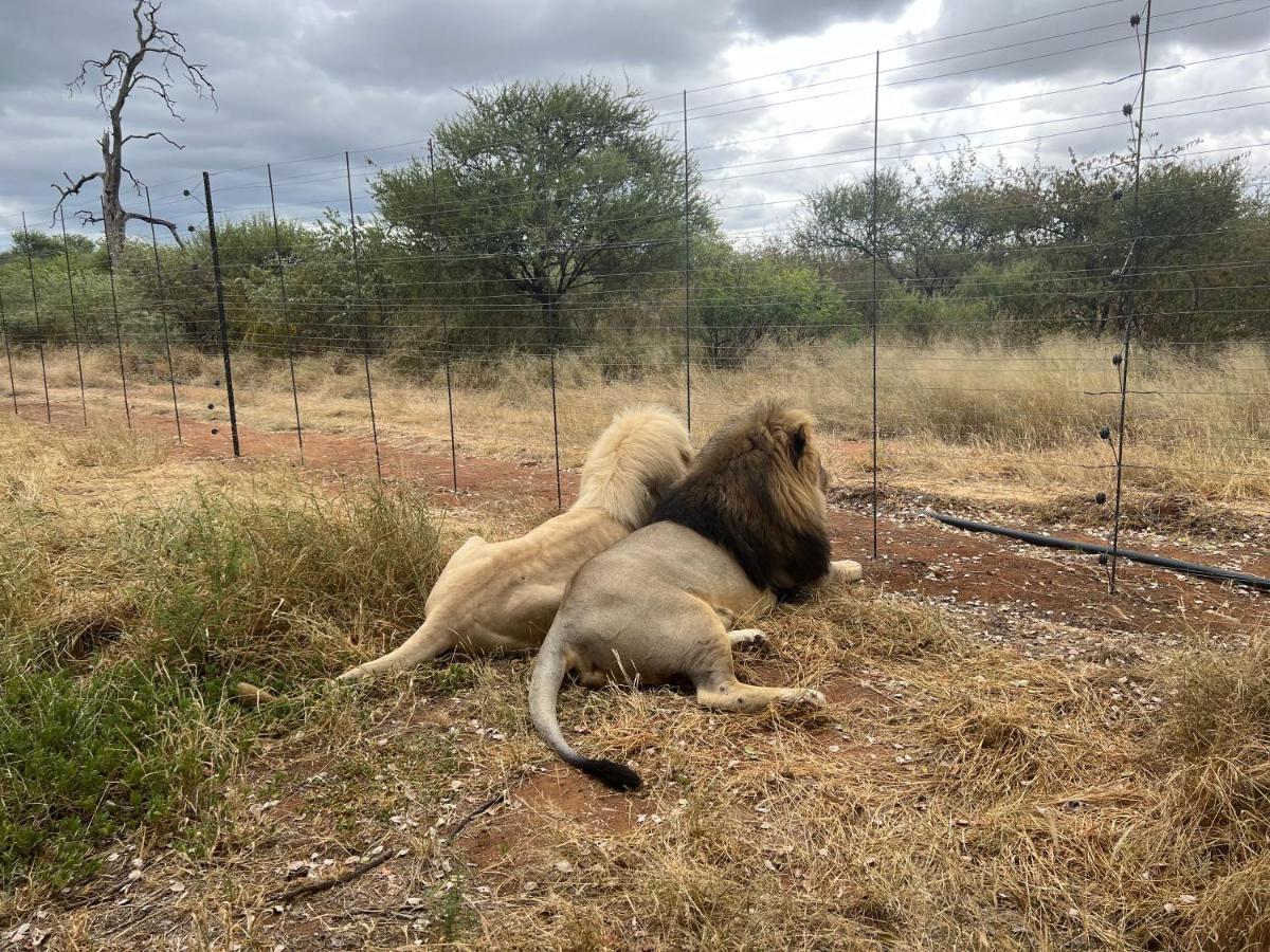Simba Safaris African Pride Exotic Lodge Lephalale Экстерьер фото
