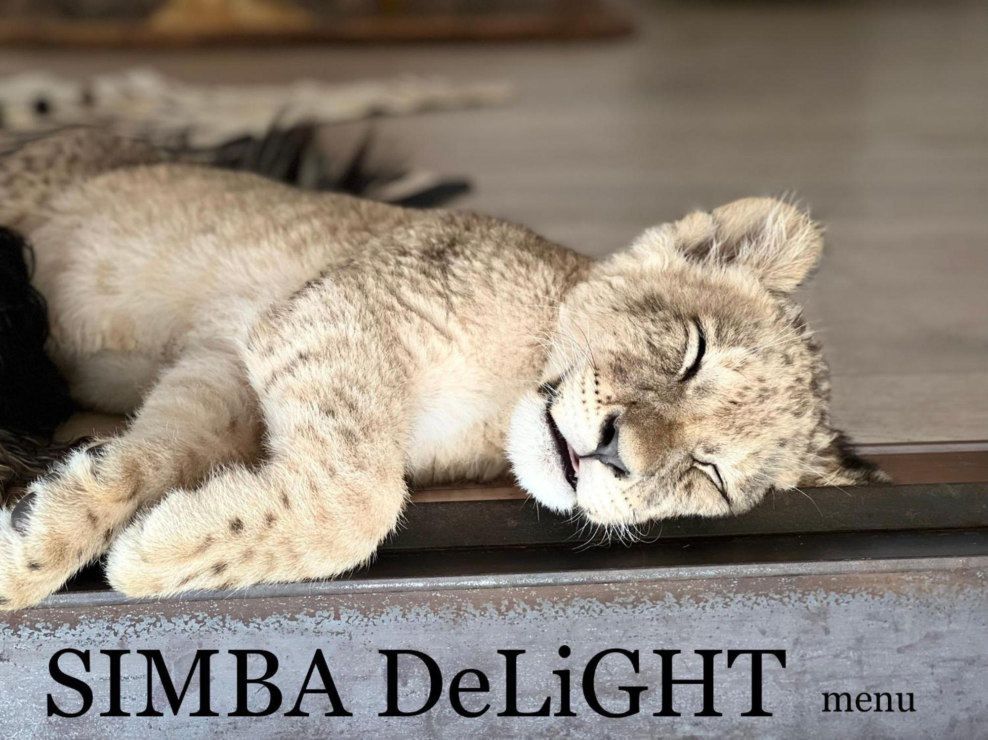 Simba Safaris African Pride Exotic Lodge Lephalale Экстерьер фото