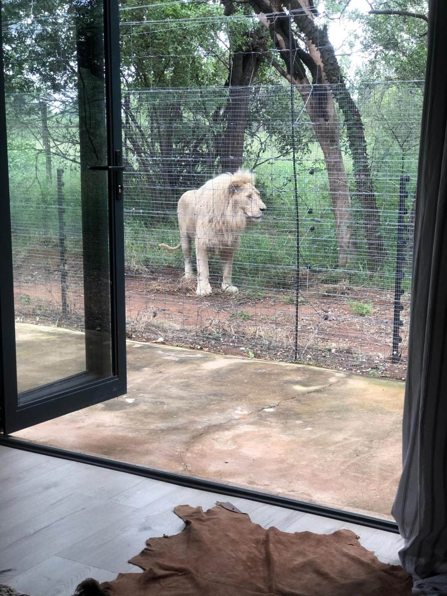 Simba Safaris African Pride Exotic Lodge Lephalale Экстерьер фото