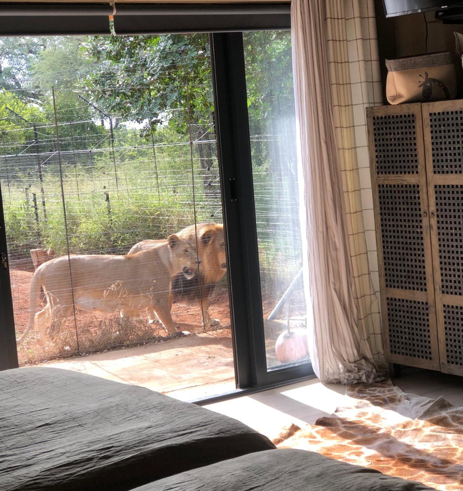 Simba Safaris African Pride Exotic Lodge Lephalale Экстерьер фото