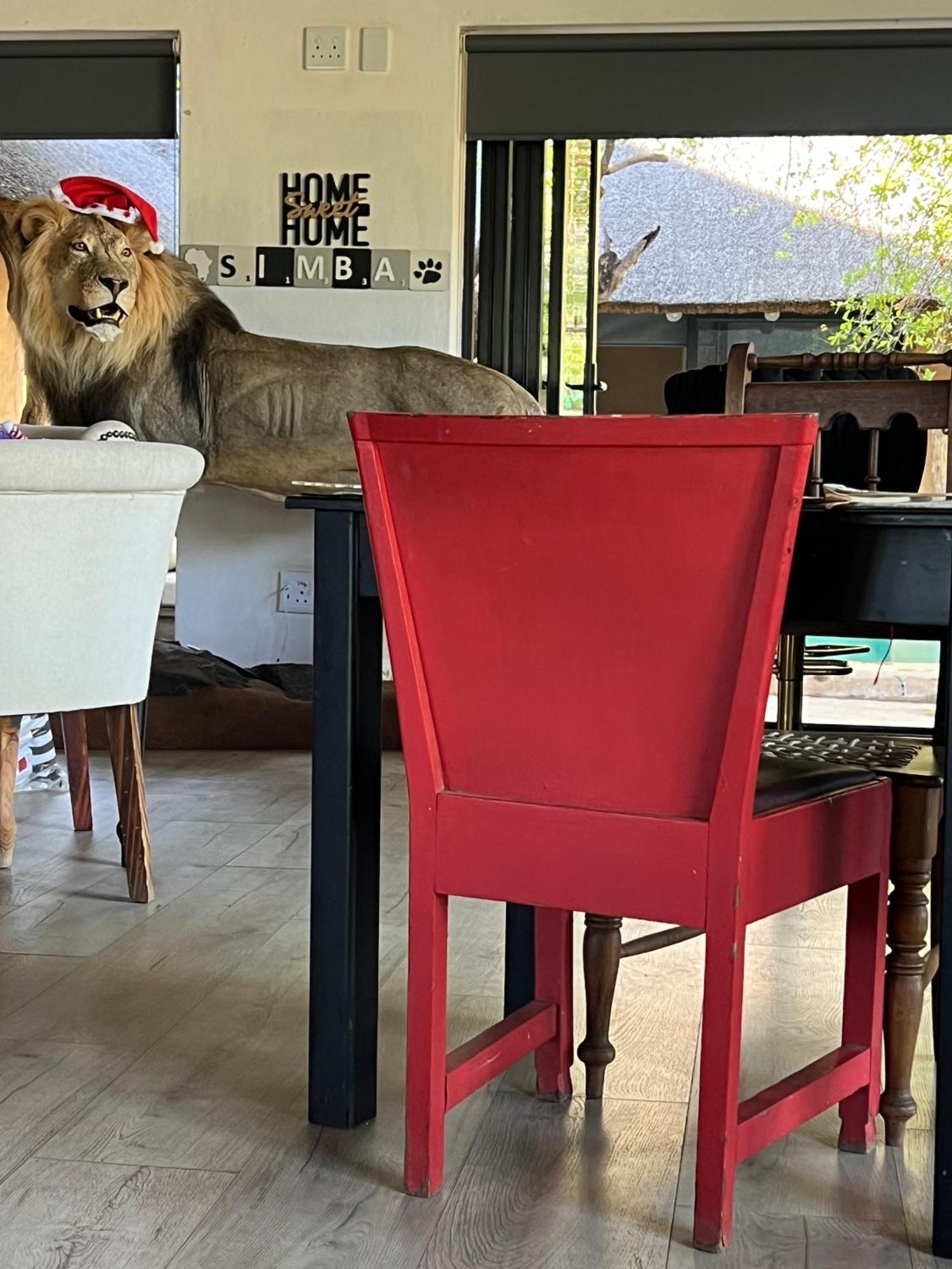 Simba Safaris African Pride Exotic Lodge Lephalale Экстерьер фото