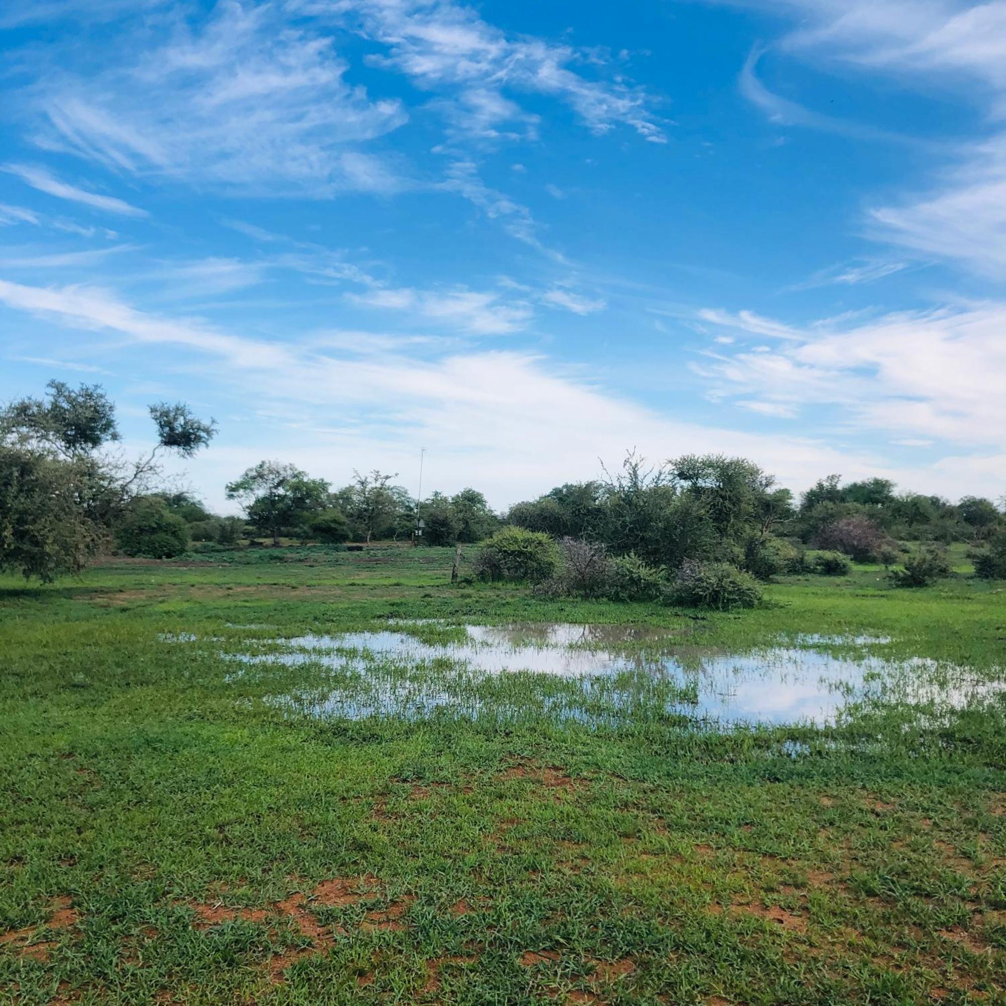 Simba Safaris African Pride Exotic Lodge Lephalale Экстерьер фото
