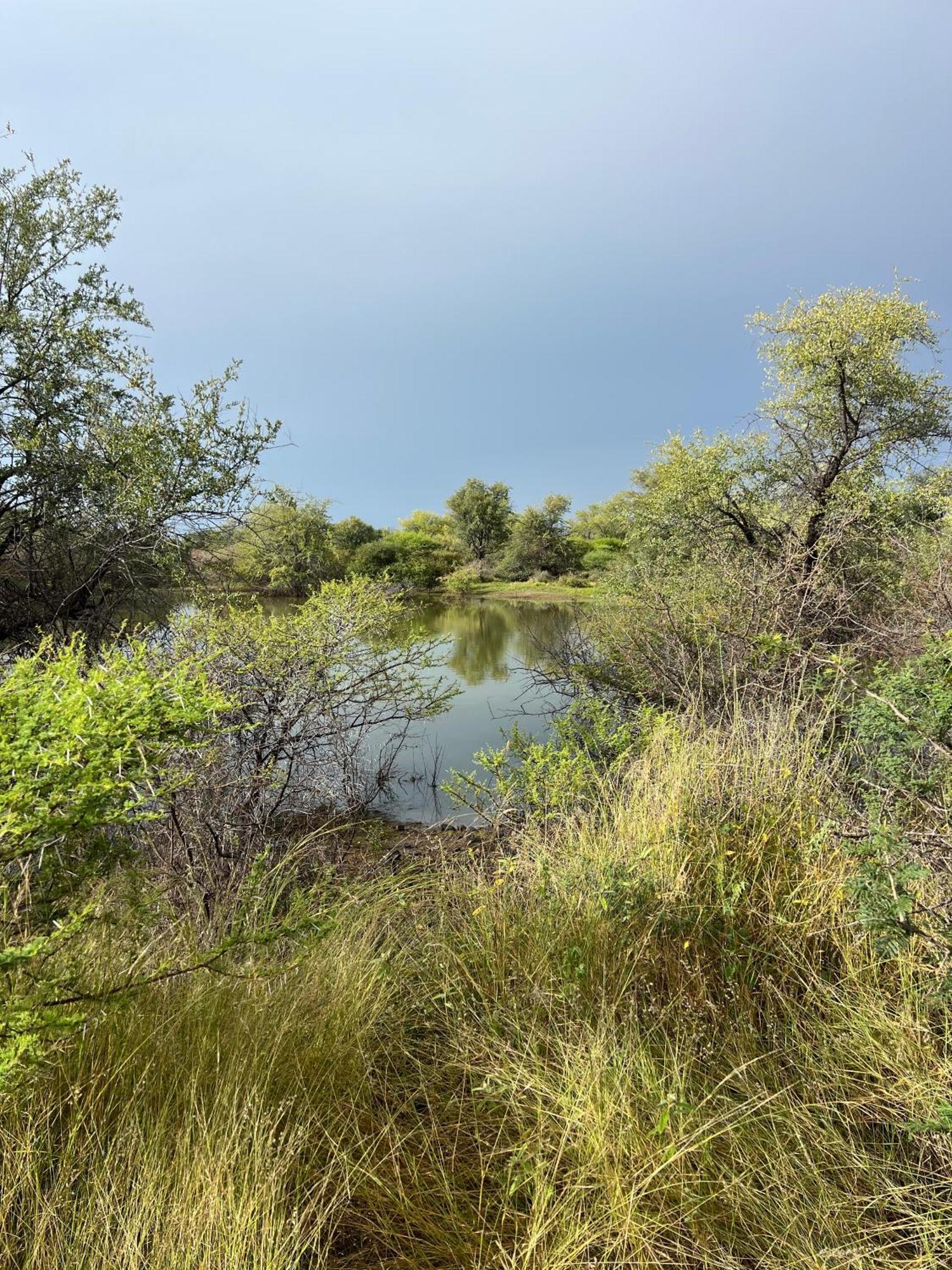 Simba Safaris African Pride Exotic Lodge Lephalale Экстерьер фото